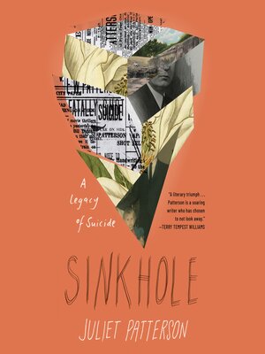 cover image of Sinkhole